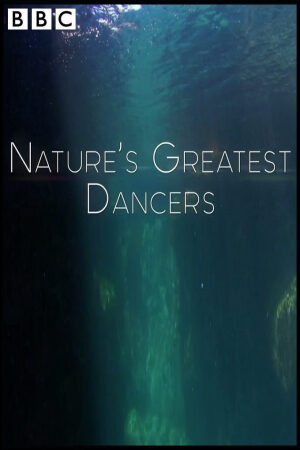 Xem Phim Những Vũ Công Cừ Khôi Của Tự Nhiên Thuyết Minh - Natures Greatest Dancers
