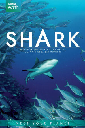 Xem Phim Thế Giới Bí Ẩn Của Cá Mập Thuyết Minh - Shark