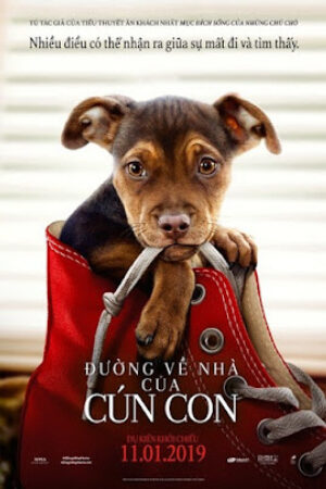 Xem Phim Đường Về Nhà Của Cún Con Thuyết Minh - A Dogs Way Home