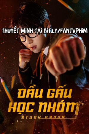 Đầu Gấu Học Nhóm