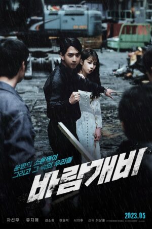 Cơn Bão Tuổi Đôi Mươi